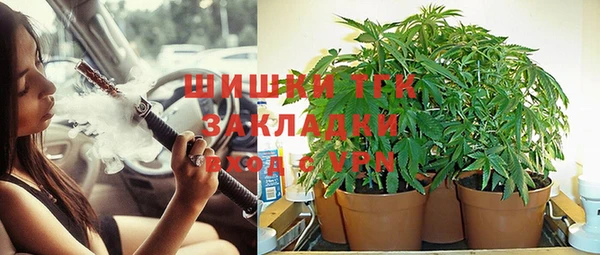прущая мука Михайлов