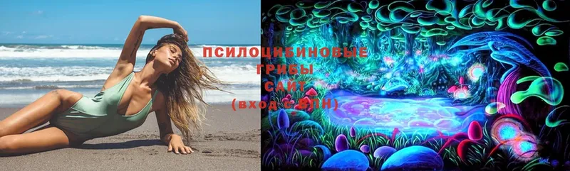 Галлюциногенные грибы Cubensis  Жирновск 